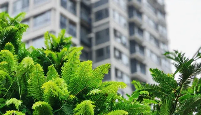 怎么建设网站：系统集成中的产品设计要点